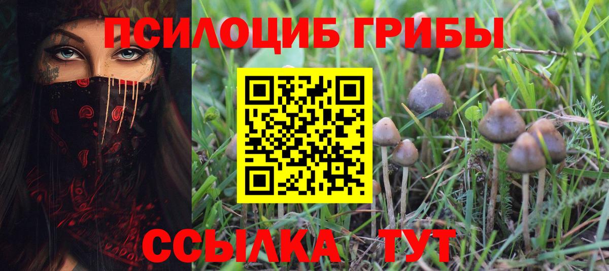Псилоцибиновые грибы MAGIC MUSHROOMS Рубцовск