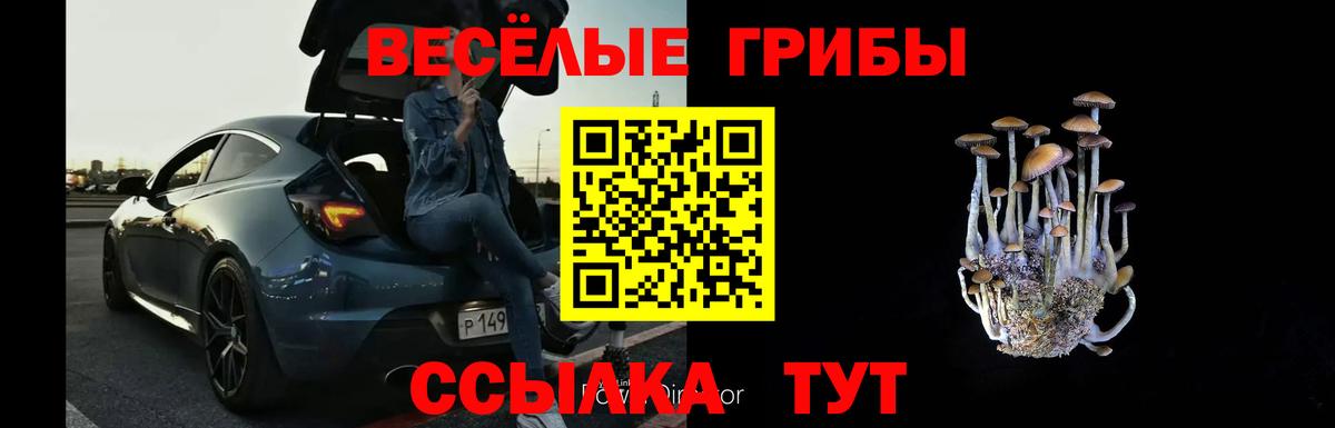 Галлюциногенные грибы мицелий  Вход с VPN  Рубцовск 